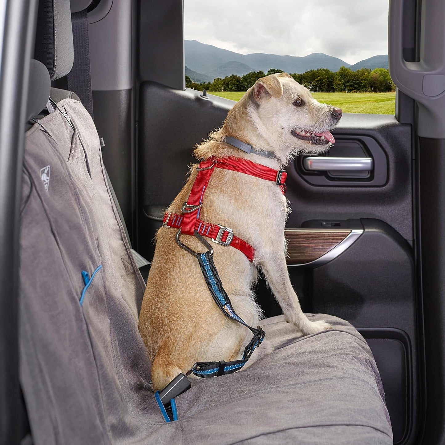 Direct to Seatbelt Tether for Dogs, Dog Seat Belt for Car, Adjustable Dog Safety Belt Leash, Quick & Easy Installation, Works with Any Pet Harness, (Carabiner Clip, Coastal Blue)