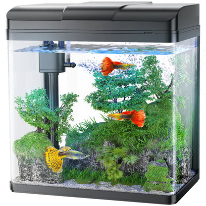 Fish Tank, 1.7 Gallon Glass Aquarium with Air Pump & LED Light & Filter, Small Fish Tank for Betta Fish Starter Kit (Black)