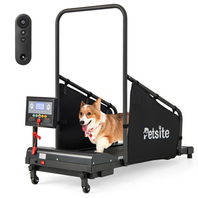 Indoor Pet Exercise Equipment with Remote Control