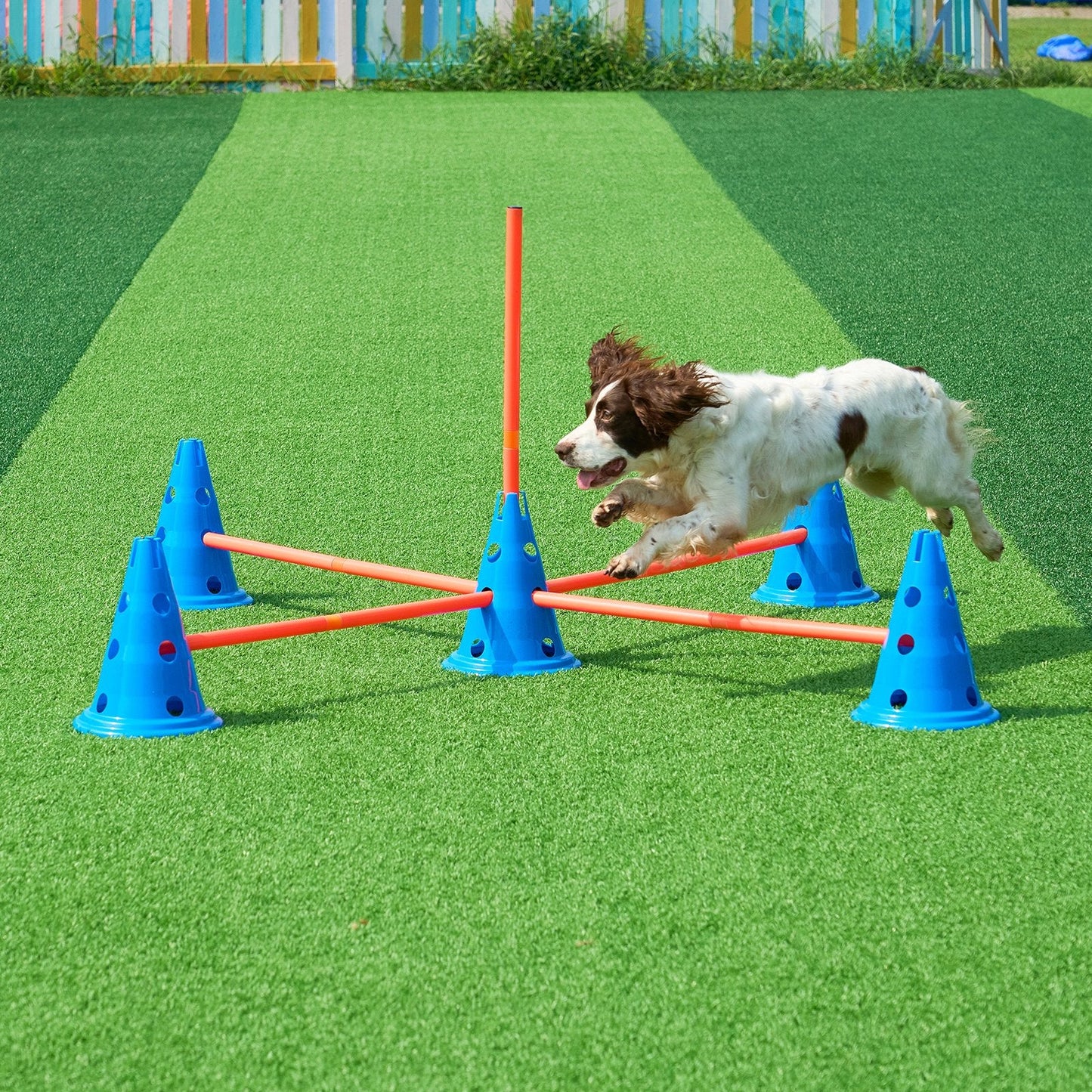 VEVOR Dog Agility Hurdle Cone Set 6 PCS Kit-12 Xcones 6 Xagility Rods with Bag