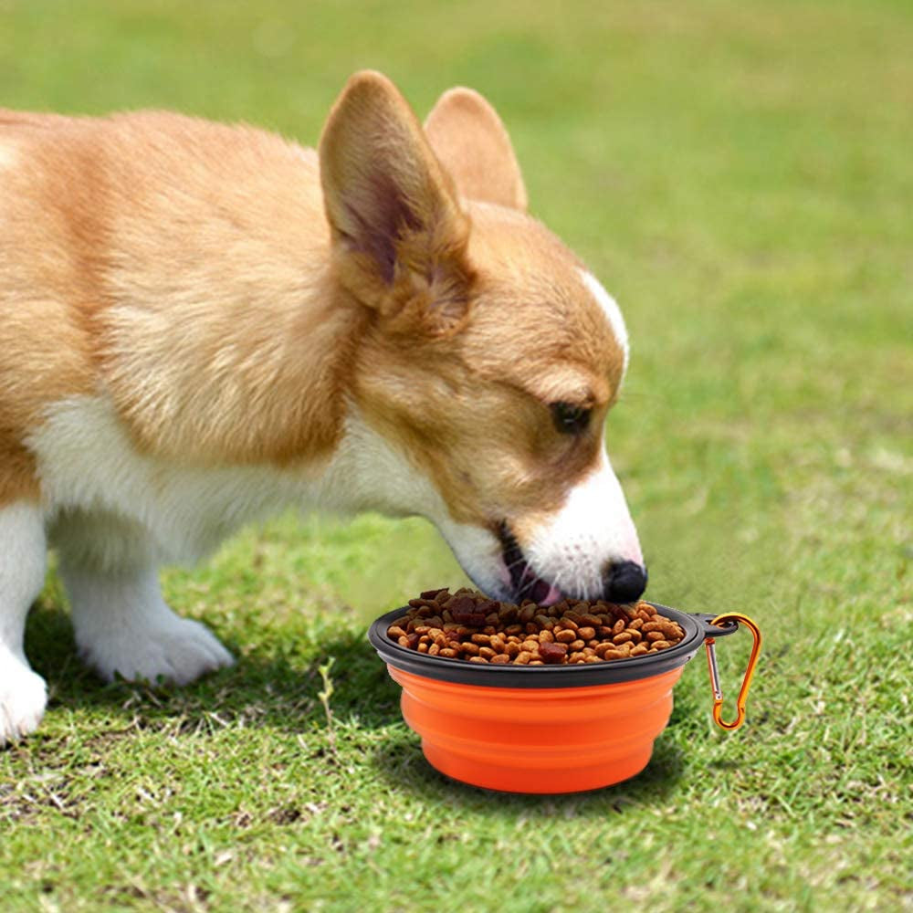 Collapsible Dog Bowls, 2 Pack, Portable Pet Feeding Watering Dish for Traveling with Carabiners (Small, Orange+Pink)