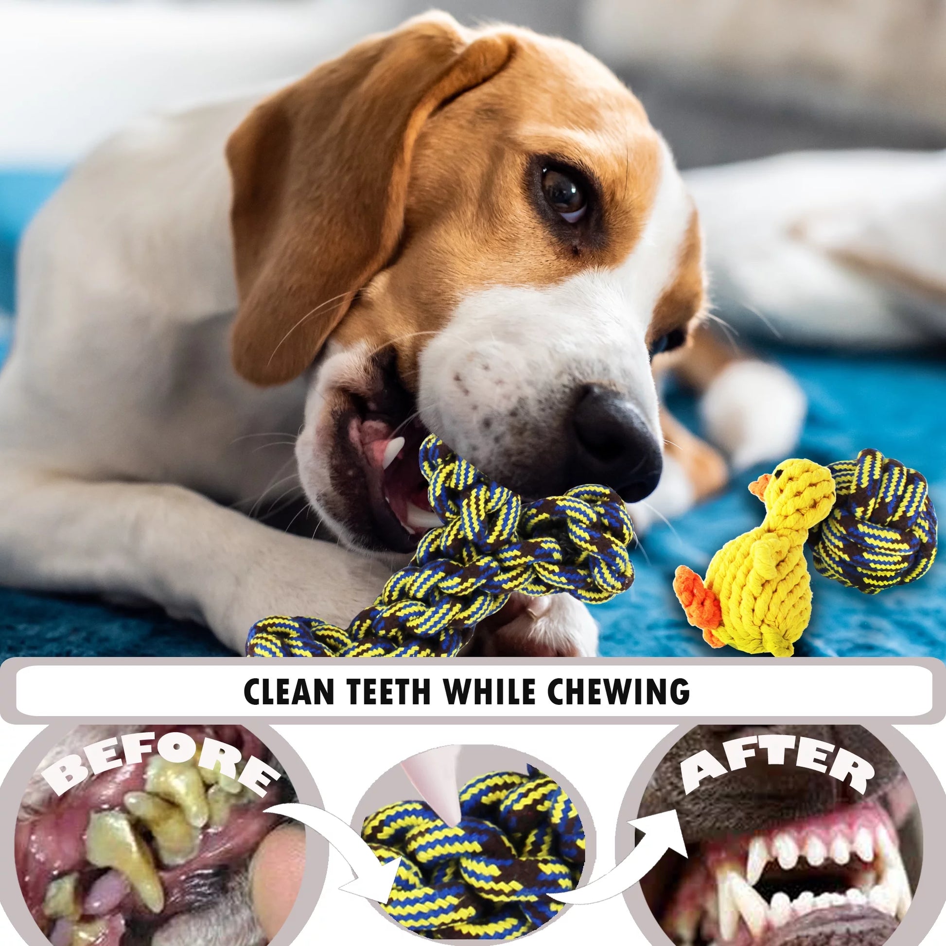 Dog Toys for Medium Dog -  5 Pcs Pet Teething Chew Toys, Teething Chew Toys for Small and Medium Dog, Colorful, Durable & Safe Tug of War Toys, Great Toys for Furry Friends