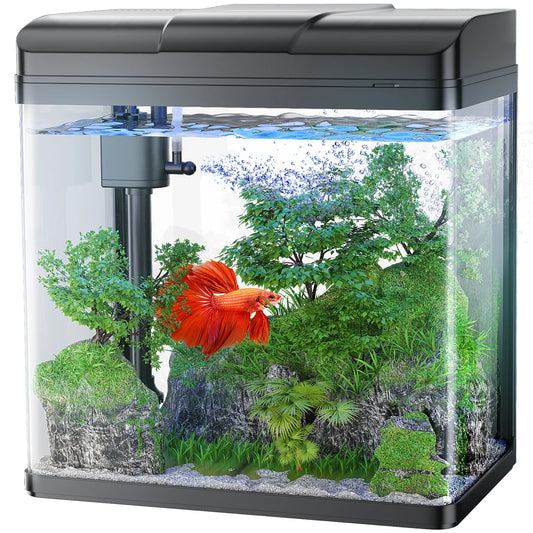 Fish Tank, 1.7 Gallon Glass Aquarium with Air Pump & LED Light & Filter, Small Fish Tank for Betta Fish Starter Kit (Black)