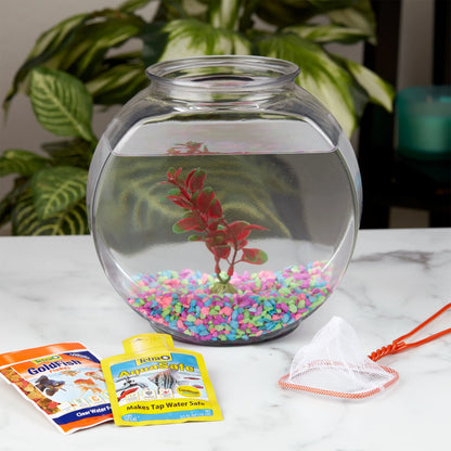 Glass Fish Bowl with Starter Kit, 1 Gallon