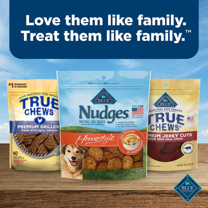 Nudges Homestyle Natural Dog Treats Made with Real Chicken, 16-Oz. Bag