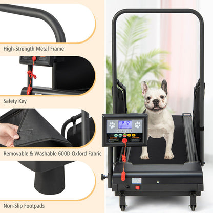 Indoor Pet Exercise Equipment with Remote Control