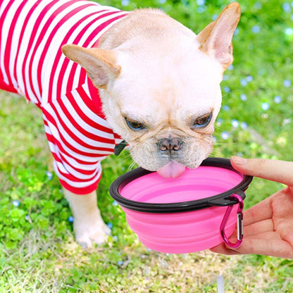 Collapsible Dog Bowls, 2 Pack, Portable Pet Feeding Watering Dish for Traveling with Carabiners (Small, Orange+Pink)