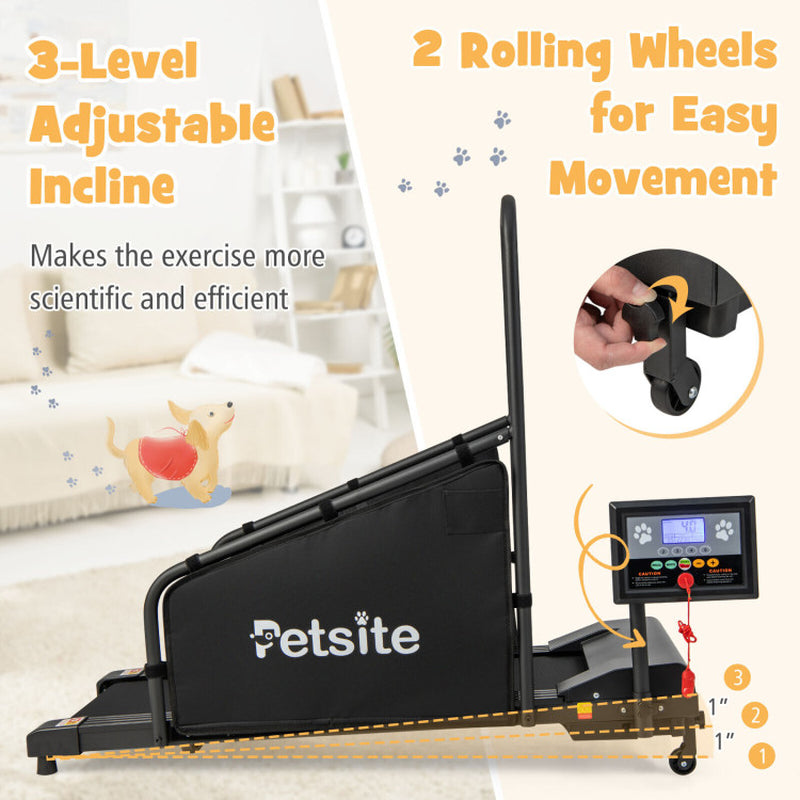 Indoor Pet Exercise Equipment with Remote Control