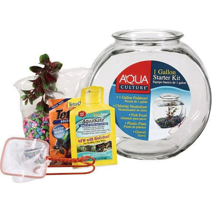 Glass Fish Bowl with Starter Kit, 1 Gallon