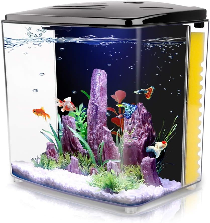 1.4 Gallon Betta Aquarium Starter Kits Square Fish Tank with LED Light and Filter Pump