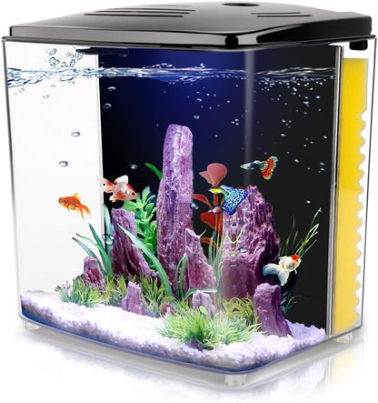 1.4 Gallon Betta Aquarium Starter Kits Square Fish Tank with LED Light and Filter Pump